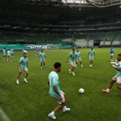 Escala&ccedil;&atilde;o do Palmeiras: Verd&atilde;o ter&aacute; time muito modificado contra Chapecoense por conta de desfalques