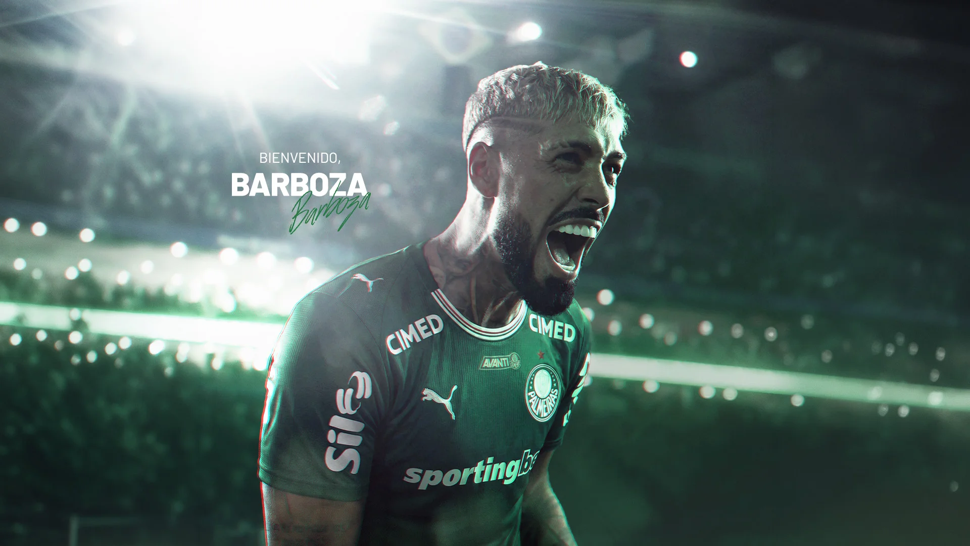 image para ilustrar o artigo