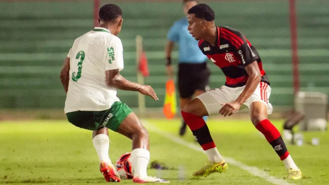Palmeiras é líder do Brasileiro Sub-20 (Foto: Adriano Fontes/Flamengo)