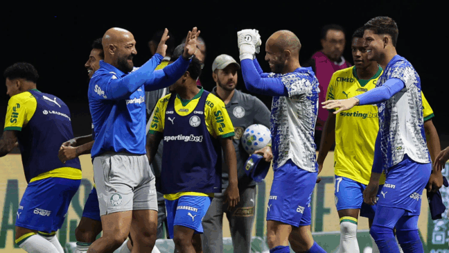 O goleiro Marcelo Lomba, da SE Palmeiras, em jogo contra a equipe da A Chapecoense F, durante partida válida pela décima oitava rodada, do Campeonato Brasileiro, Série A, na Arena Allianz Parque. (Foto: Cesar Greco/Palmeiras/by Canon)
