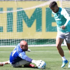 Escala&ccedil;&atilde;o do Palmeiras: Lateral torce tornozelo e &eacute; desfalque contra Coritiba