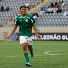 Foto: F&aacute;bio Menotti/Palmeiras
