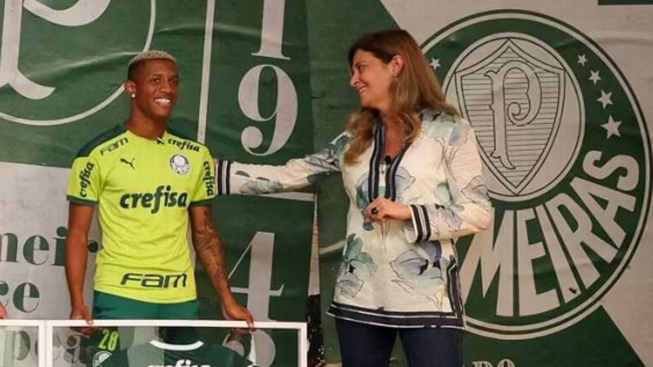 image para ilustrar o artigo