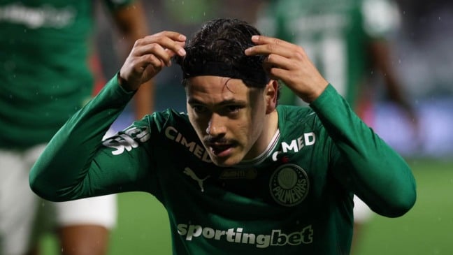 O jogador Mauricio, da SE Palmeiras, comemora seu gol contra a equipe do Coritiba FC, durante partida válida pela décima nona rodada, do Campeonato Brasileiro, Série A, no Estádio Couto Pereira. (Foto: Cesar Greco/Palmeiras/by Canon)
