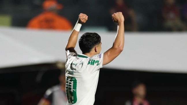 O jogador Ramón Sosa, da SE Palmeiras, comemora seu gol contra a equipe do EC Vitória, durante partida válida pela vigésima primeira rodada, do Campeonato Brasileiro, Série A, no Estádio Barradão. (Foto: Cesar Greco/Palmeiras/by Canon)
