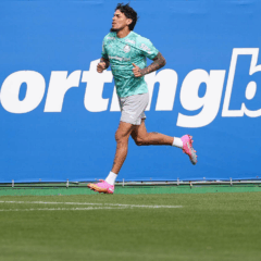 Paulinho e Khellven t&ecirc;m les&otilde;es confirmadas, e Gustavo G&oacute;mez avan&ccedil;a em recupera&ccedil;&atilde;o no Palmeiras
