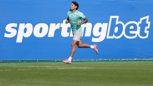 Paulinho e Khellven têm lesões confirmadas, e Gustavo Gómez avança em recuperação no Palmeiras