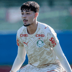 Goleiro deixa Palmeiras e refor&ccedil;a clube da S&eacute;rie B