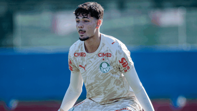 Goleiro deixa Palmeiras e reforça clube da Série B