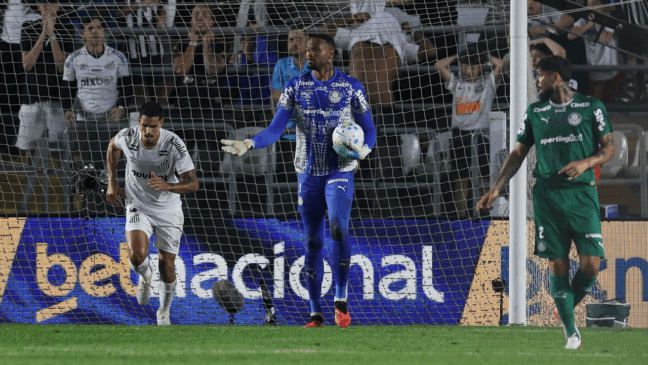 O goleiro Carlos Miguel, da SE Palmeiras, em jogo contra a equipe do Santos FC, durante partida válida pelas quartas de final, volta, da Copa do Brasil, no Estádio da Vila Belmiro. (Foto: Cesar Greco/Palmeiras/by Canon)
