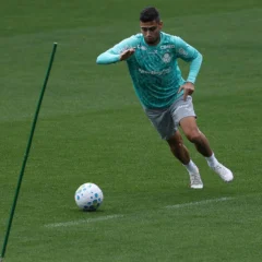 Escala&ccedil;&atilde;o do Palmeiras: Abel Ferreira finaliza prepara&ccedil;&atilde;o e ter&aacute; retornos contra Botafogo