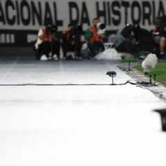 O t&eacute;cnico Abel Ferreira, da SE Palmeiras, em jogo contra a equipe do Botafogo FR, durante partida v&aacute;lida pela vig&eacute;sima sexta rodada, do Campeonato Brasileiro, S&eacute;rie A, no Est&aacute;dio Nilton Santos. (Foto: Cesar Greco/Palmeiras/by Canon)
