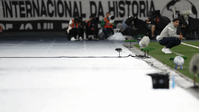 O técnico Abel Ferreira, da SE Palmeiras, em jogo contra a equipe do Botafogo FR, durante partida válida pela vigésima sexta rodada, do Campeonato Brasileiro, Série A, no Estádio Nilton Santos. (Foto: Cesar Greco/Palmeiras/by Canon)
