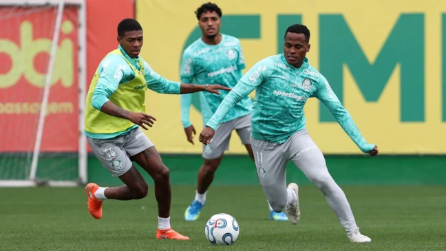 Palmeiras inicia preparação para jogo contra LDU pela Libertadores