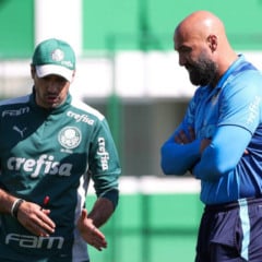 Preparador de goleiros do Palmeiras alcan&ccedil;a marca hist&oacute;rica na Libertadores