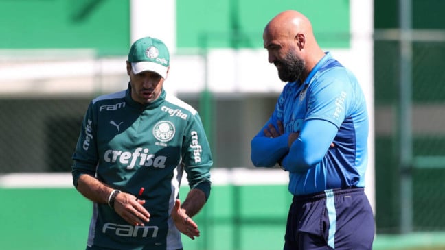 Preparador de goleiros do Palmeiras alcança marca histórica na Libertadores