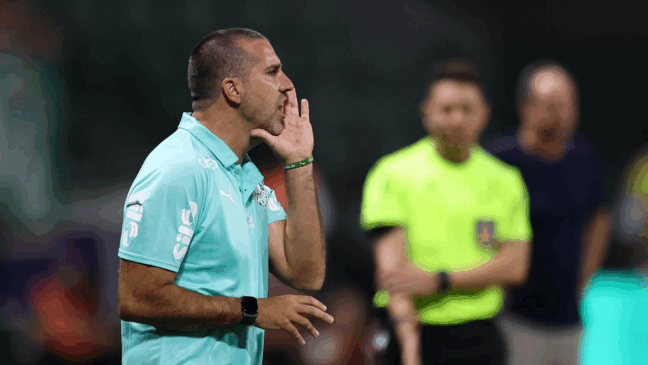 O preparador físico João Martins, da SE Palmeiras, em jogo contra a equipe do EC Bahia, durante partida válida pela vigésima nona rodada, do Campeonato Brasileiro, Série A, na arena Nubank Parque. (Foto: Cesar Greco/Palmeiras/by Canon)
